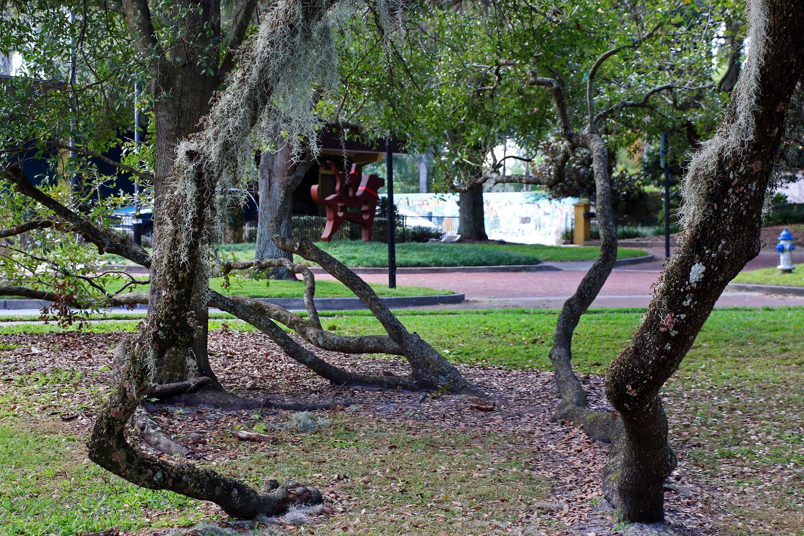 Orlando Heat, Light, and Traffic Noise Destroy Your Sleep Quality